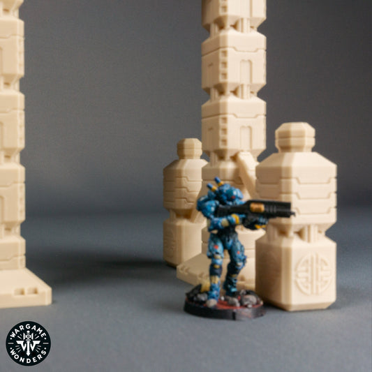 Torii Gate – EdoKanto