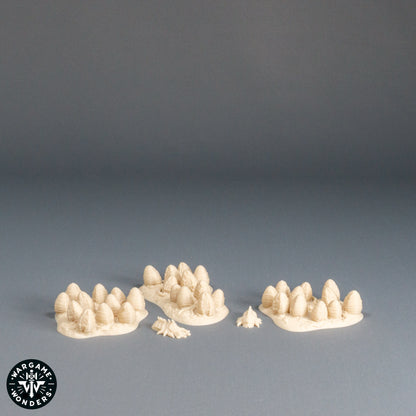 Brood Eggs - Broodswarm Hive