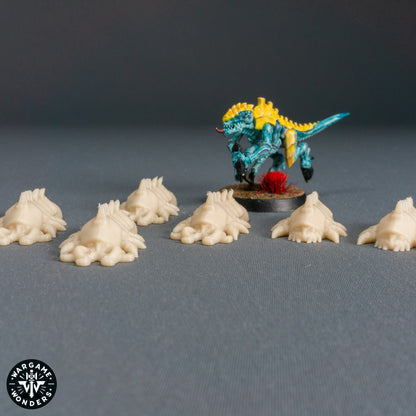 A Dozen Brood Larvaes - Broodswarm Hive