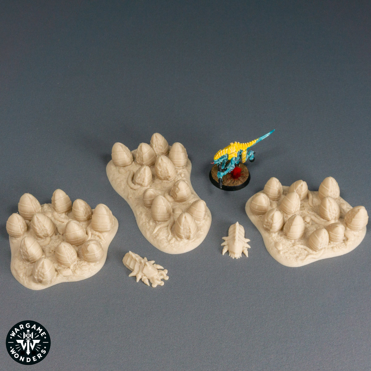 Brood Eggs - Broodswarm Hive
