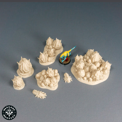 Brood Cocoons - Broodswarm Hive