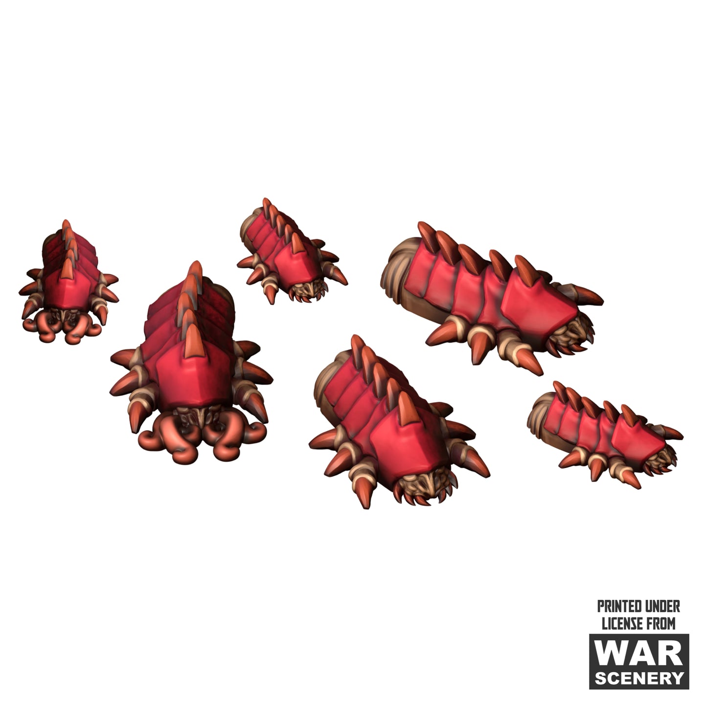 A Dozen Brood Larvaes - Broodswarm Hive